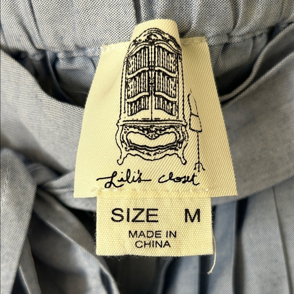 Anthropologie Lili’s Closet Pleated Blue Skirt Size M - Picture 3 of 10